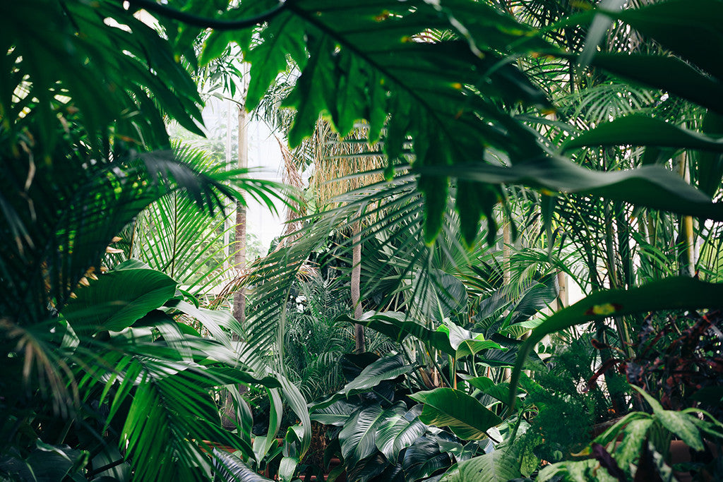 STYLE: Pantone's Greenery is growing on us