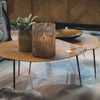 Belgium Veneer Coffee Table