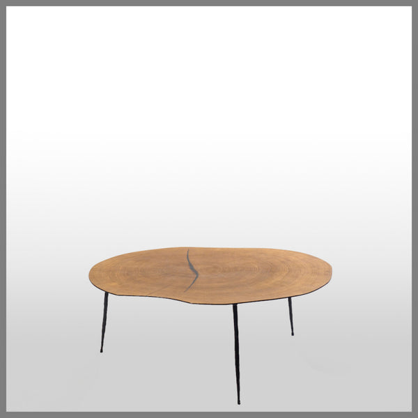 Belgium Veneer Coffee Table